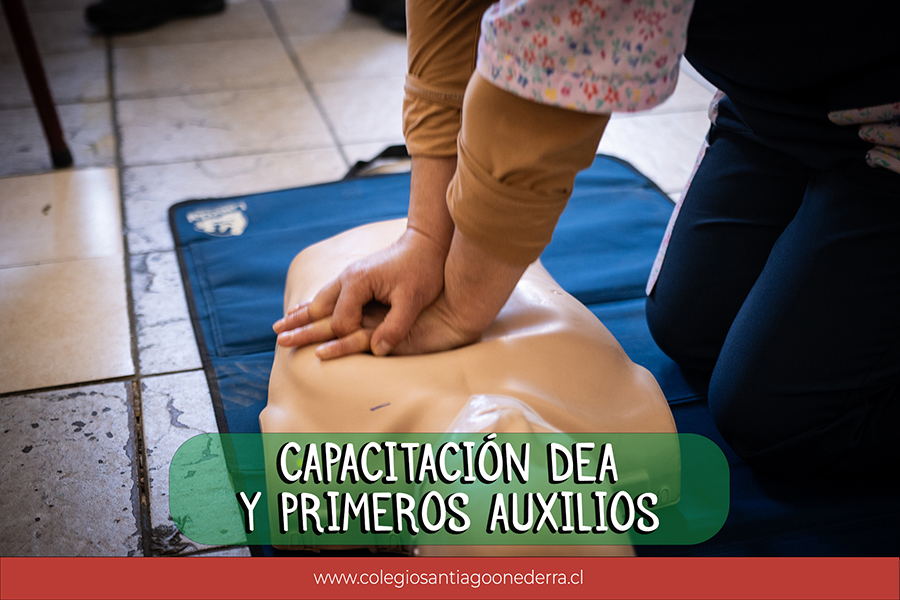 capacitacion dea 2023 min