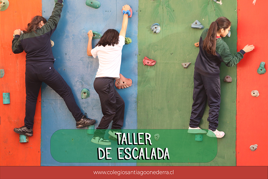 taller de escalada cso 2023