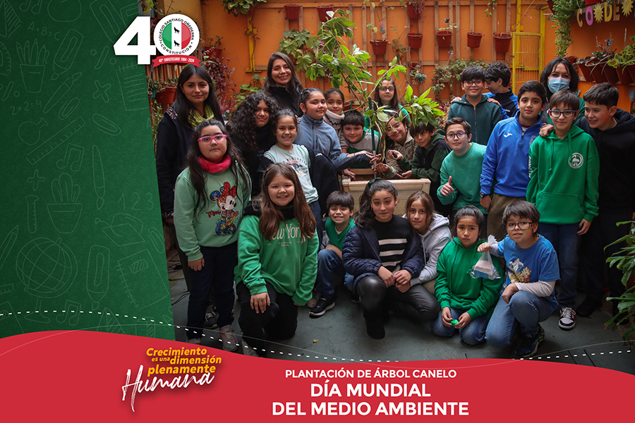 dia mundial del medio ambiente 2024